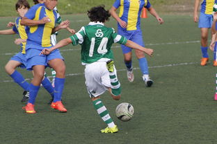 开云全站下载-莱昂纳多被上海申花主教练瞧不上，谁相信？如今在中超大杀四方，你们认为呢？